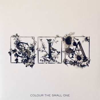 2LP Sia: Colour The Small One CLR | LTD | NUM