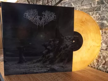 Sickle of Dust: Where The Sun Glare Danced