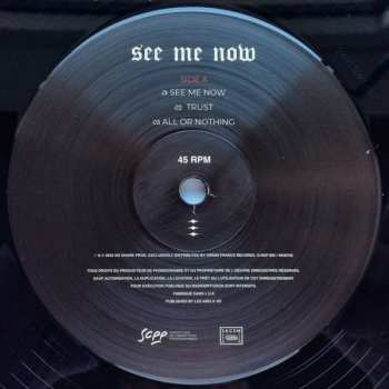 LP Sierra: See Me Now LTD