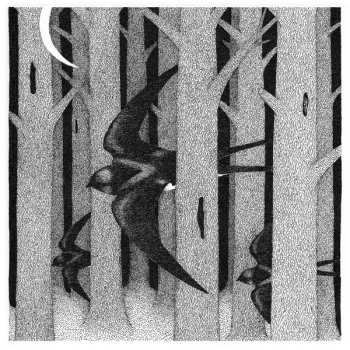 LP Silk Saw: Parallel Landscapes