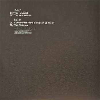 2LP Simon Posford: Flux & Contemplation - Portrait Of An Artist In Isolation