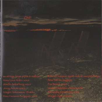 CD Simon Steensland: A Farewell To Brains 2.0