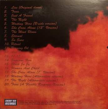 5CD/Box Set Skeletal Family: Eternal (Singles · Albums · Rarities · BBC Sessions · Live · Demos 1982-2015)