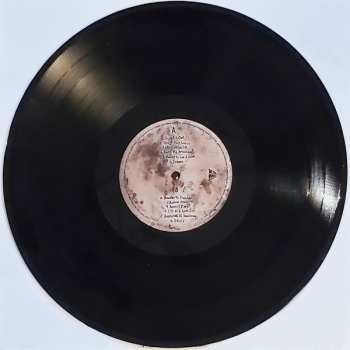 LP Skinny Lister: A Matter Of Life & Love