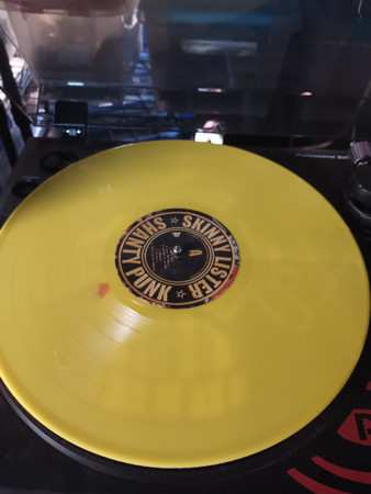 LP Skinny Lister: Shanty Punk