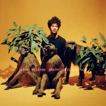LP Skinny Pelembe: Dreaming Is Dead Now