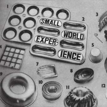 LP Small World Experience: Shelf-Life