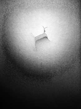 Album smallertide: All Along the Northern Evening