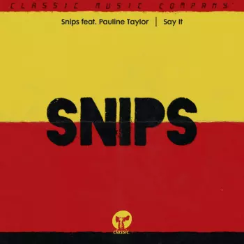 DJ Snips: Say It