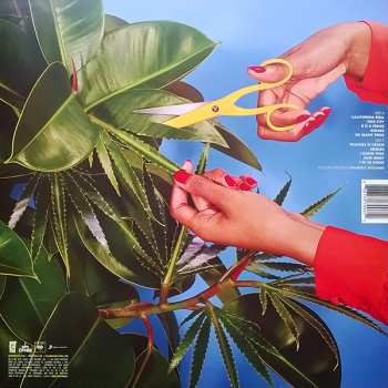 LP Snoop Dogg: Bush CLR