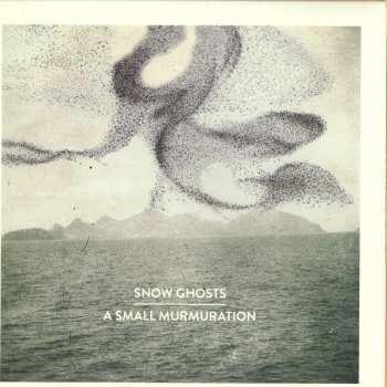 LP Snow Ghosts: A Small Murmuration