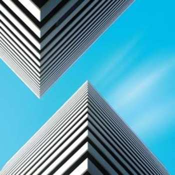 CD Snow Palms: Land Waves