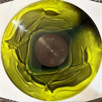 LP Sofia Isella: I'm Camera. CLR | LTD