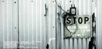 CD Somatic Responses: Neon