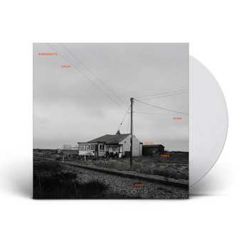 LP Somebody's Child: When Youth Fades Away