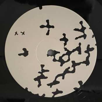 LP Songs: Ohia: Protection Spells LTD