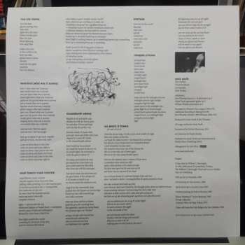 LP Sonic Youth: NYC Ghosts & Flowers