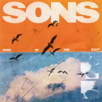Album Indecision: Sons Of Abraham / Indecision