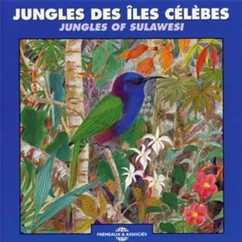 Jungles Of Sulawesi