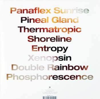 2LP Special Request: Bedroom Tapes