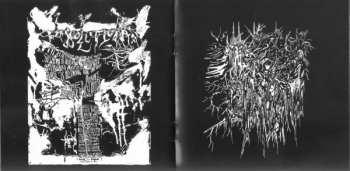 CD Spectral Voice: Eroded Corridors Of Unbeing 