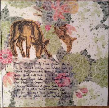 LP Speedy Ortiz: Foil Deer