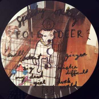 LP Speedy Ortiz: Foil Deer