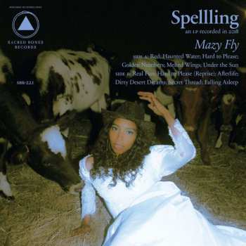CD Spellling: Mazy Fly