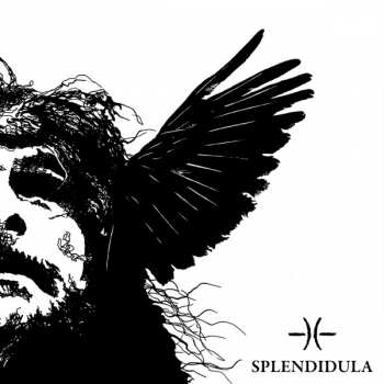 CD Splendidula: Somnus