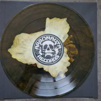 LP Splendidula: Splendidula CLR | LTD