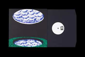 LP Squid: Near The Westway LTD
