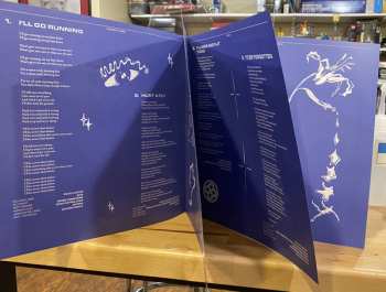 LP Squirrel Flower: Planet (i) LTD | CLR