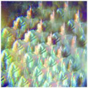 CD Stealing Sheep: Into The Diamond Sun
