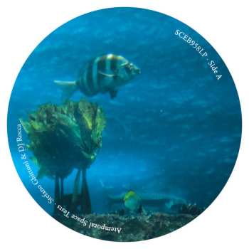 LP Stefano Ghittoni: Atemporal Space Tests