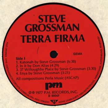 LP Steve Grossman: Terra Firma