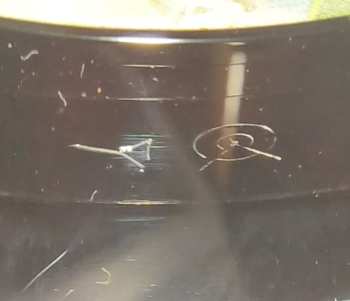 LP Steve Martin: The Steve Martin Brothers