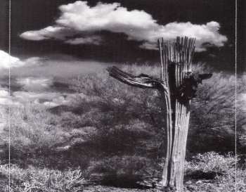 LP Steve Roach: Dust To Dust