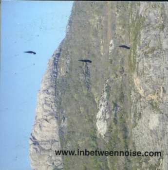 7CD/Box Set Steve Roden: A Thousand Breathing Forms (2003-2008)