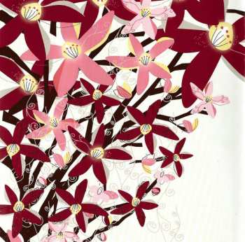 CD Steve Vai: The Story Of Light - Real Illusions: Of A...