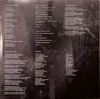 2LP Steven Wilson: The Harmony Codex CLR | LTD