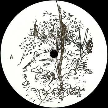 2LP STL: At Disconnected Moments