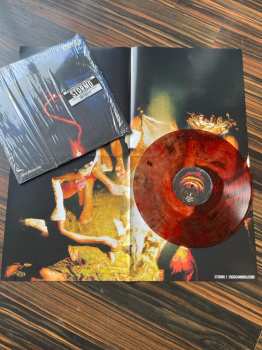 LP Stormo: Endocannibalismo LTD | CLR
