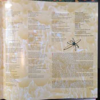LP Strung Out: Another Day In Paradise