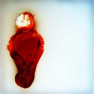 Album Stubborn Heart: Better Than This