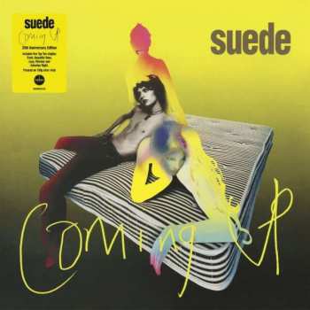 LP Suede: Coming Up LTD | CLR