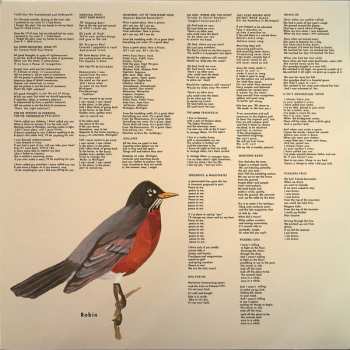 2LP Sufjan Stevens: Greetings From Michigan: The Great Lake State