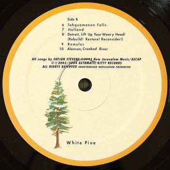 2LP Sufjan Stevens: Greetings From Michigan: The Great Lake State
