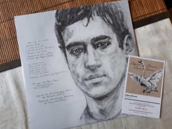 LP Sufjan Stevens: Seven Swans