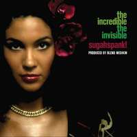 LP Sugahspank!: The Incredible The Invisible LTD