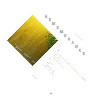 LP Suicideyear: Remembrance NUM | LTD